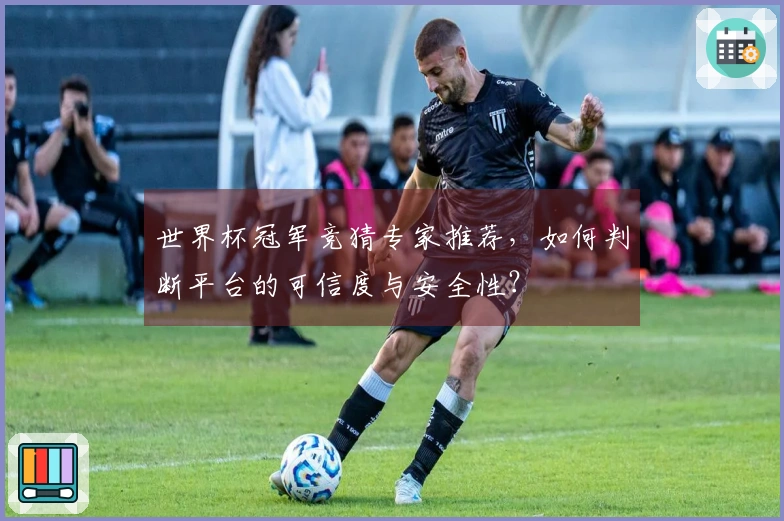 世界杯冠军竞猜专家推荐,如何判断平台的可信度与安全性?