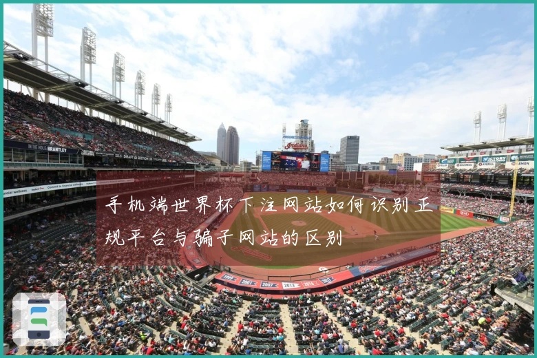 手机端世界杯下注网站如何识别正规平台与骗子网站的区别