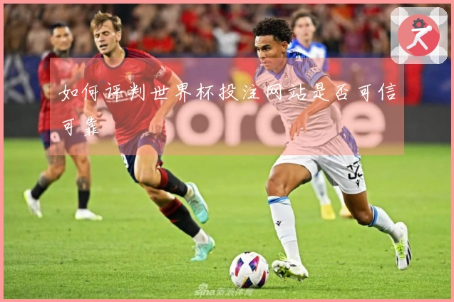 如何评判世界杯投注网站是否可信可靠